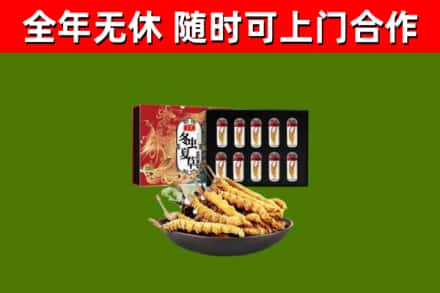 金台回收冬虫夏草价格